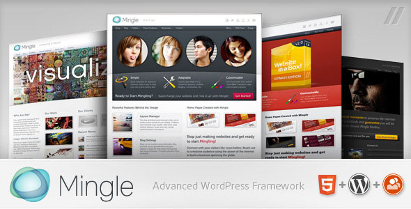BuddyPress Themes (14)