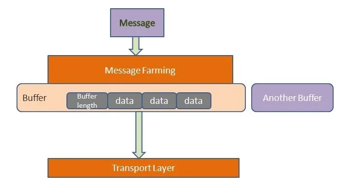 数据和schema