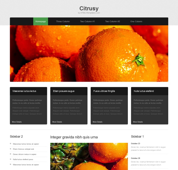 free-html5-responsive-template-6