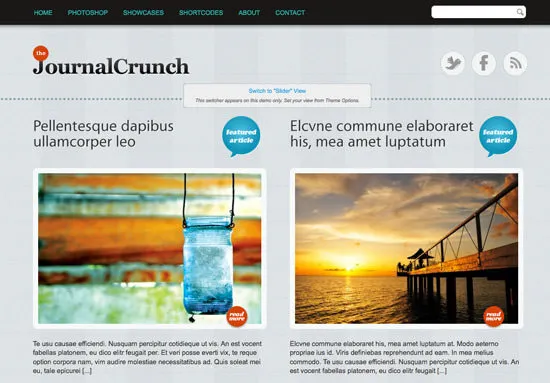 journalcrunch 21 Free Premium Wordpress Themes to Impress