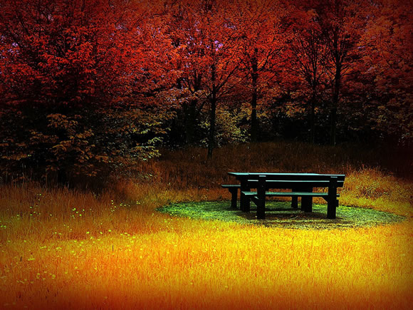 14 Colorful Autumn Wallpapers