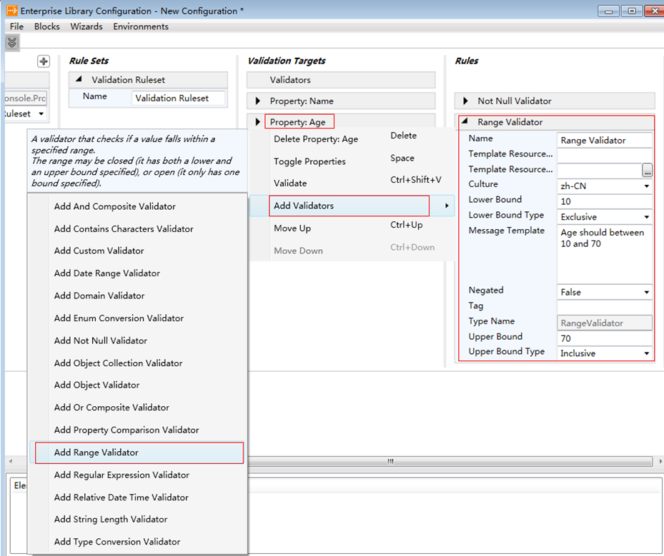 Validation with Enterprise Liberary