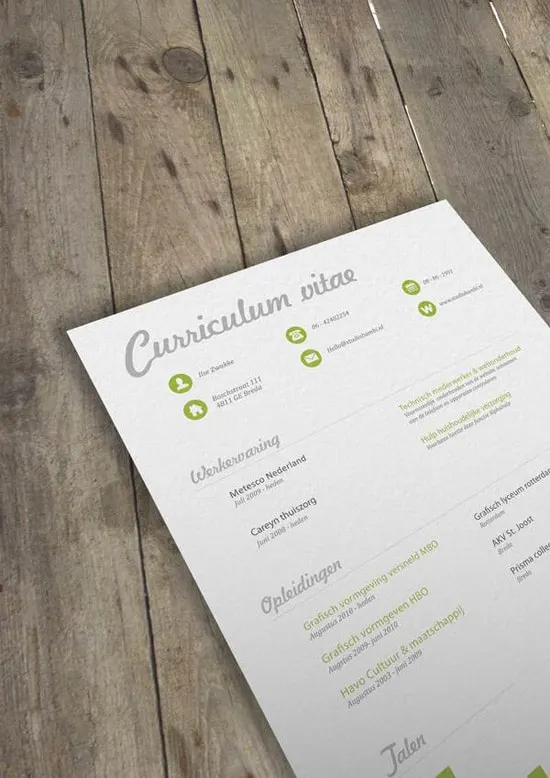 Ilse Zwakke - Curriculum vitae