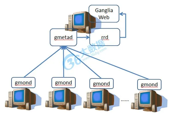 Ganglia