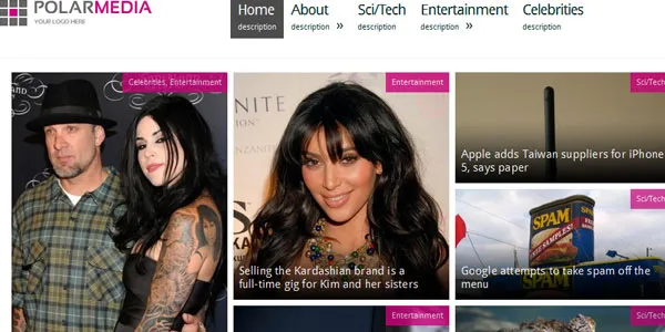 Polar Media Magazine WordPres Theme