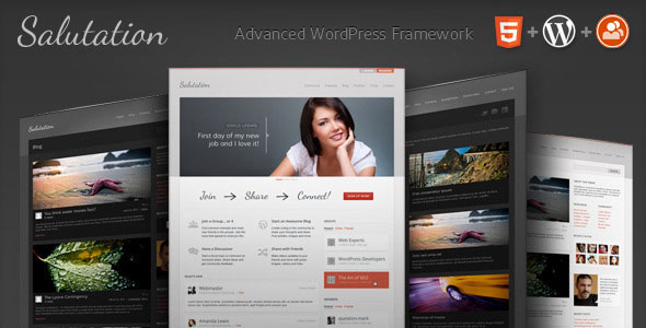 BuddyPress Themes (11)