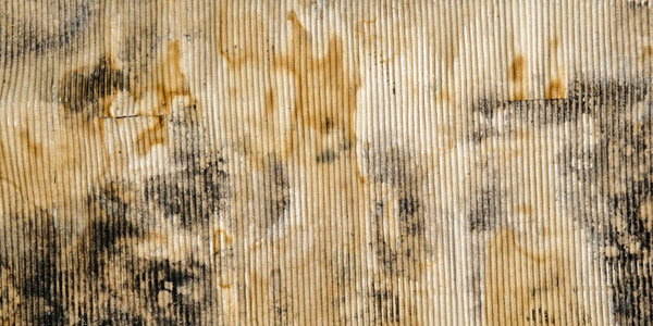 11 Old Dirty Cardboard Textures by Steve Foster