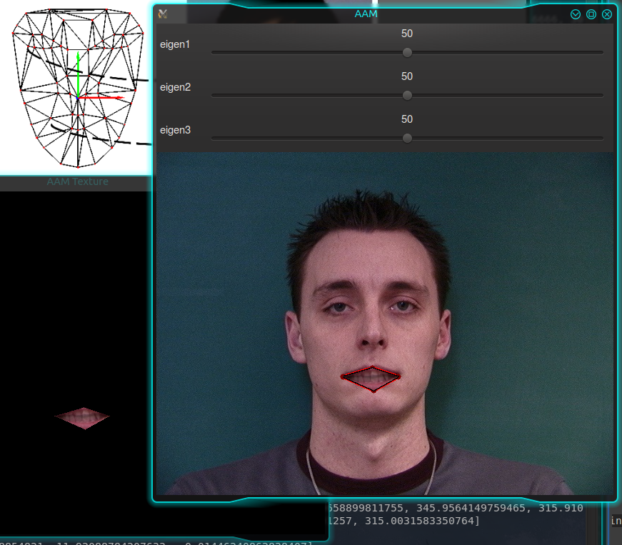 Ch7) 3D Head Pose Estimation using AAM and POSIT