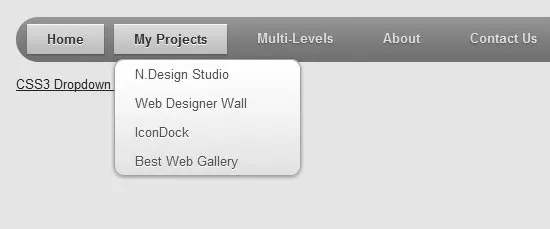 CSS3 Dropdown Menu