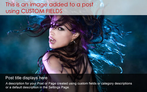 Dynamic Content Gallery Free Slideshow Plugins For Wordpress   Best of
