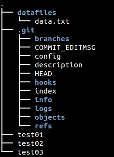 First Git directory