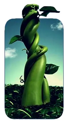 Beanstalk