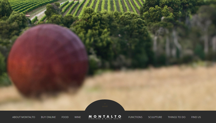 mornington peninsula montalto vineyard olive grove